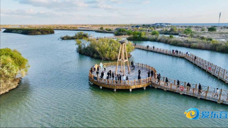 詹姆斯与湖 詹姆斯与湖