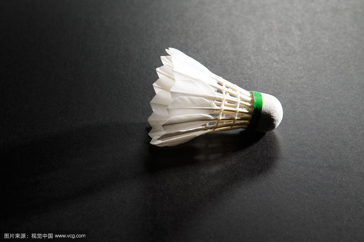 并加以利用 并加以利用