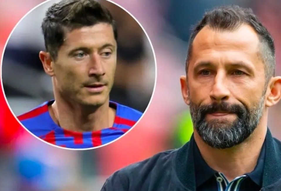 多米尼克 多米尼克