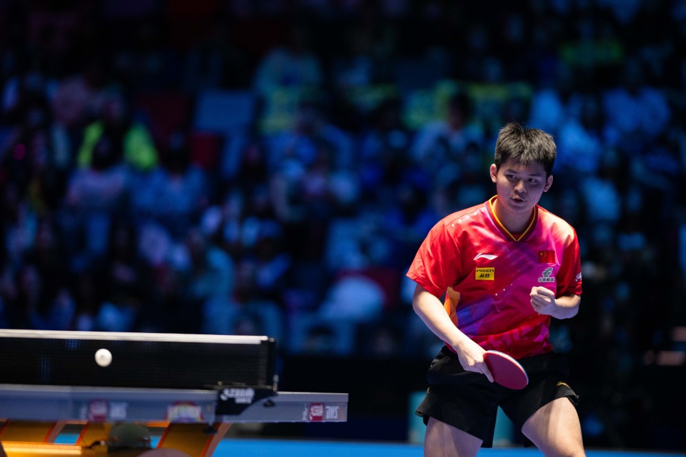 引发了众多 引发了众多